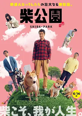 辣舞电影网