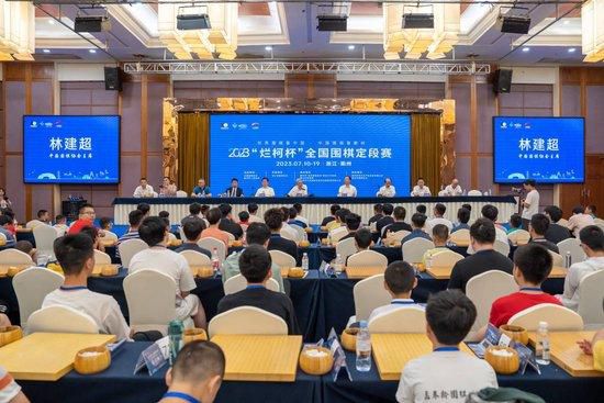 精品国产高清久久久久久小说