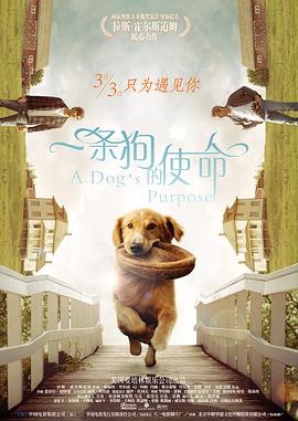 a级片免费看
