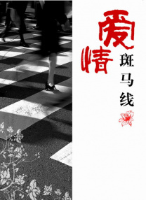 五月天婷婷导航
