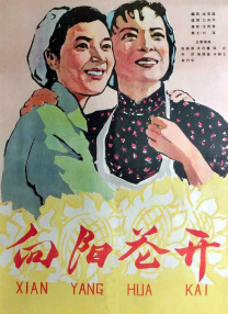 红地毯2014