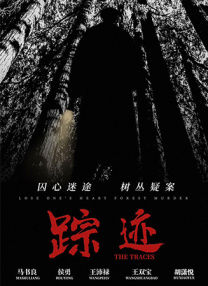 国内一区二区在线观看