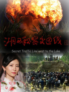 亚洲国产高清美女在线观看