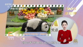 识别链接